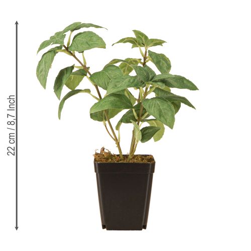 Artikel Kunstmatige Basilicum in Pot Kruiden in Groen H22cm