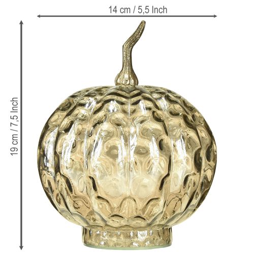 Artikel Pompoendecoratie glas glazen pompoen tafeldecoratie herfst Ø14cm H19cm