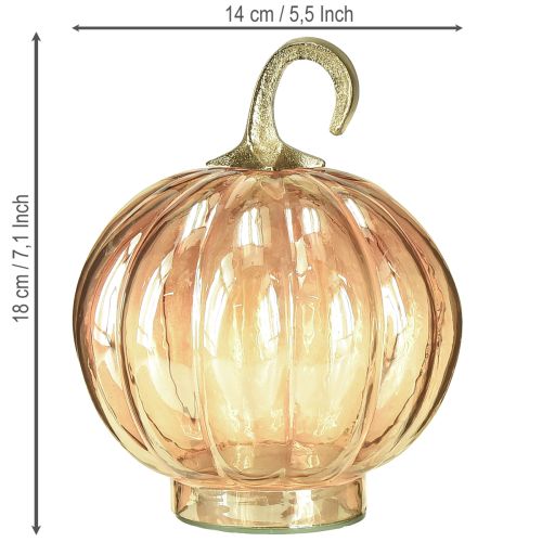 Artikel Pompoendecoratie glas glazen pompoen tafeldecoratie oranje Ø14cm H18cm