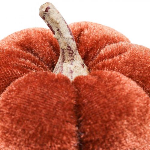 Artikel Deco pompoen decoratieplug oranje, bruin zacht Ø6,5m 9 st