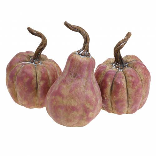 Mini-pompoenset oranje, lila Ø6,5–7cm 6 stuks