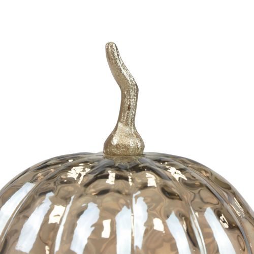 Artikel Pompoen decoratie glas glazen pompoen tafeldecoratie herfst Ø14cm H19cm