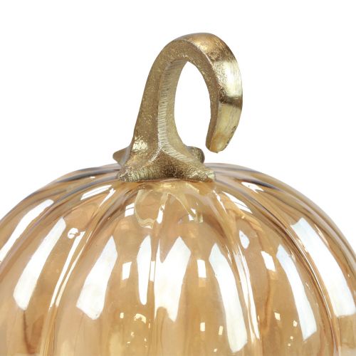 Artikel Pompoen decoratie glas glazen pompoen tafeldecoratie oranje Ø14cm H18cm