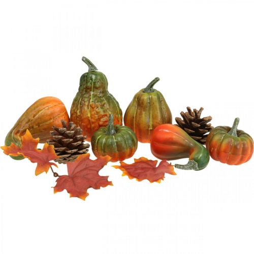 afstuderen Smelten Rijp Floristik24.nl Pompoen Deco Kegels Herfstbladeren Herfst Decoratie 5-11cm  Set - goedkoop online kopen