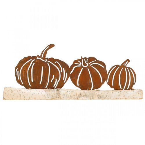 Floristik24 Pompoenen roest en schors metalen decoratie op berkenhout 20×5cm H9cm