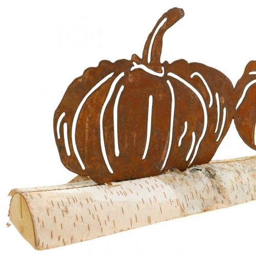 Floristik24 Pompoenen roest en schors metalen decoratie op berkenhout 20×5cm H9cm