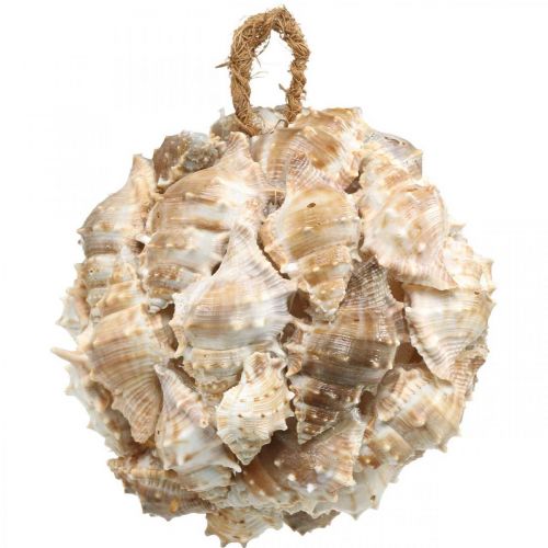 Floristik24 Deco bal slakkenhuizen schelpen deco hangend natuur Ø12cm