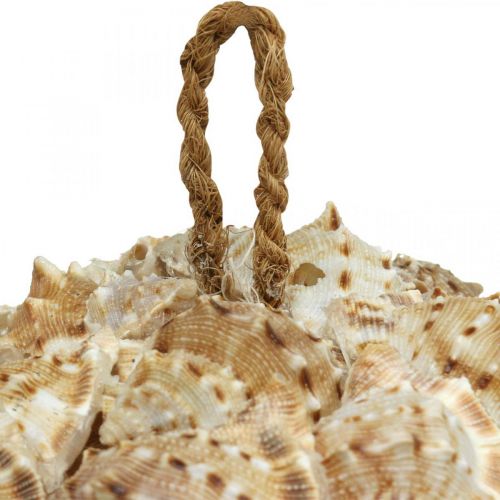 Artikel Schelpdecoratie bal zeeslakken Maritieme decoratie om op te hangen Ø18cm