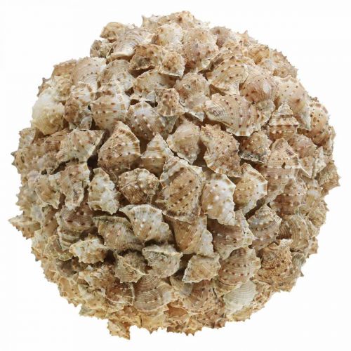 Deco bal zeeslakken tafeldecoratie maritiem naturel decoratie Ø25cm