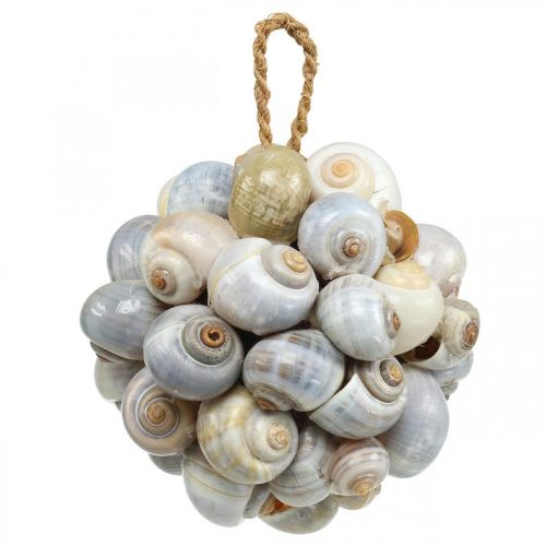 Floristik24 Maritieme decoratie bal zeeslakkenhuis bal natuurlijke decoratie Ø12cm
