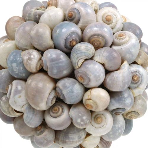 Artikel Decoratieve bal zeeslakken schelp bal natuurlijke decoratie maritiem Ø19cm
