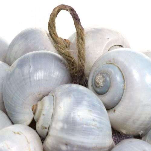 Floristik24 Deco bal zeeslakken groot Maritieme decoratie om op te hangen Ø25cm