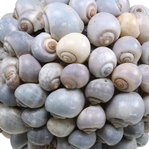Floristik24 Deco bal zeeslakken groot Maritieme decoratie om op te hangen Ø25cm
