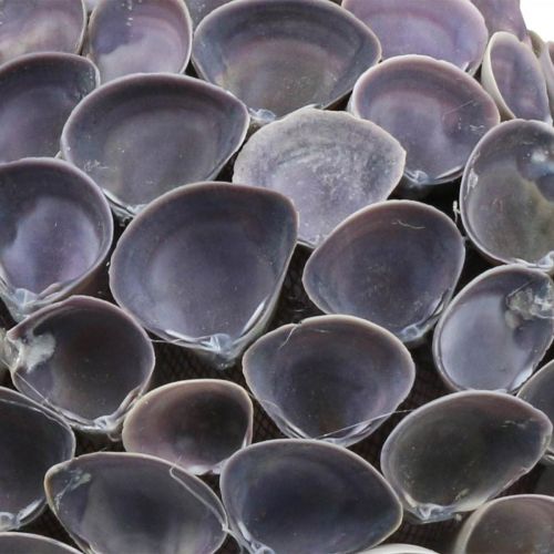 Artikel Schelpbal Maritieme decoratie met schelpen Deco bal violet Ø12cm
