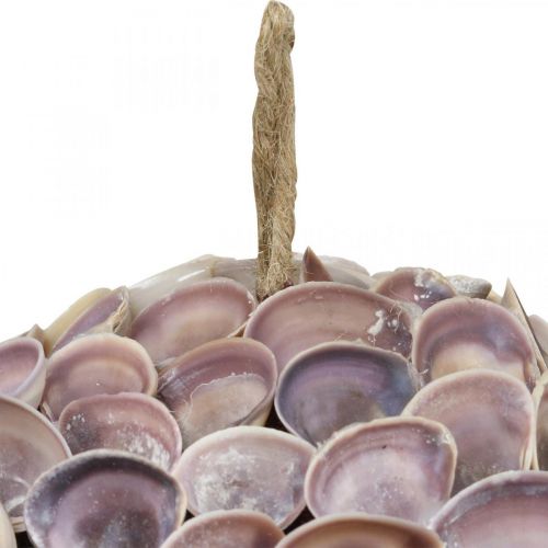 Artikel Decoratieve bolschelpen schelpdecoratie voor het ophangen van maritieme decoratie Ø18cm