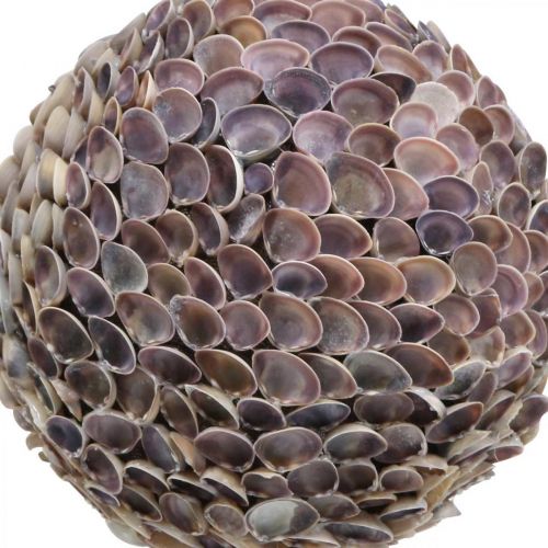 Artikel Deco bal schelpen schelp bal groot Maritiem decoratie Ø25cm