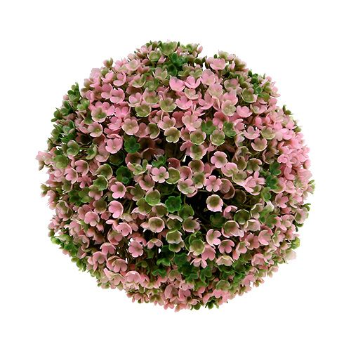 Floristik24 Decoratieve bol roze groene bolplant Ø15cm 1 stuk