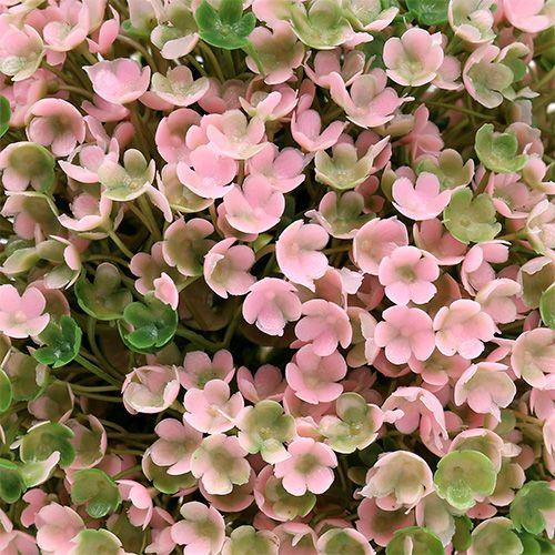 Floristik24 Decoratieve bol roze groene bolplant Ø15cm 1 stuk