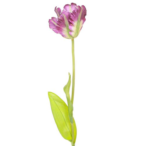 Floristik24 Kunstbloem papegaaitulp kunstdecoratietulp paars 63cm
