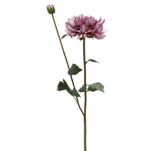 Floristik24 Kunstbloem Dahlia Paarse zijden bloem en knop H57cm