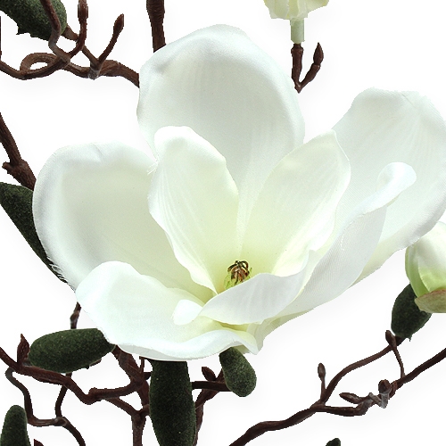 Floristik24 Magnolia tak kunstcreme 90cm