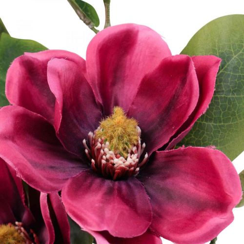 Floristik24 Kunstbloem magnolia tak, magnolia kunstroze 65cm 3st