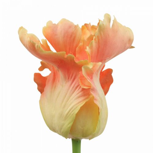 Artikel Kunstbloem papegaai tulp oranje lentebloem 63cm