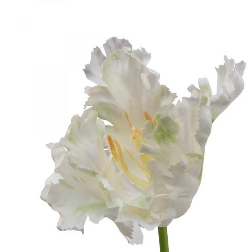 Floristik24 Kunstbloem papegaai tulp wit groen lentebloem 69cm