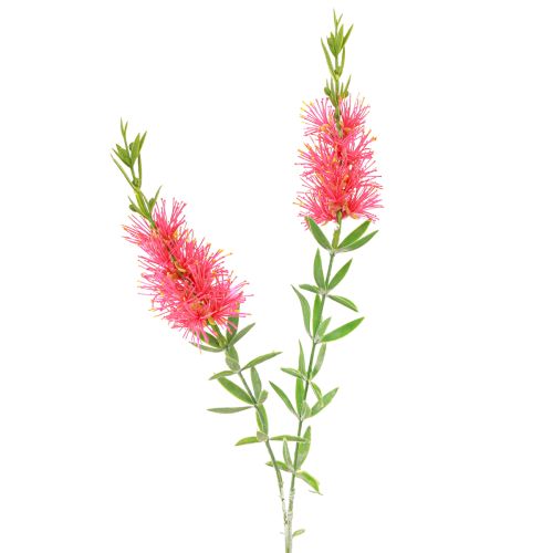 Artikel Kunstbloemen Rood Karmijn Cilinderreinigers 70cm 3st