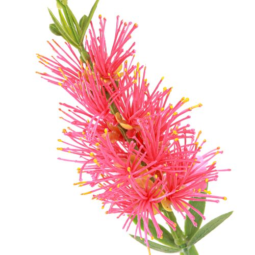 Artikel Kunstbloemen Rood Karmijn Cilinderreinigers 70cm 3st