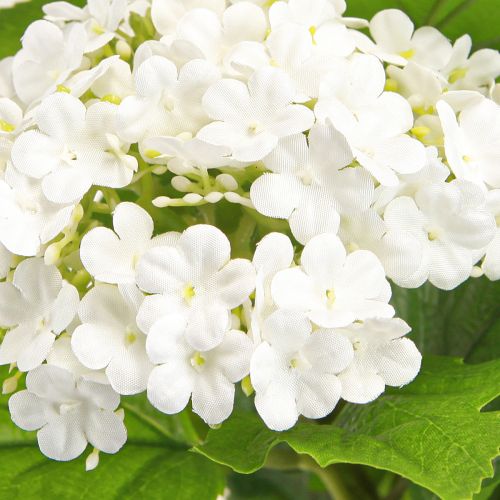 Artikel Kunstbloemen Sneeuwbal Viburnum Kunstmatig Wit 60cm 4 stuks
