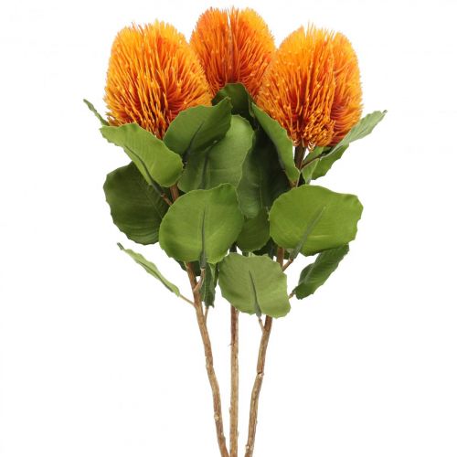 Floristik24 Kunstbloemen, Banksia, Proteaceae Oranje L58cm H6cm 3 st