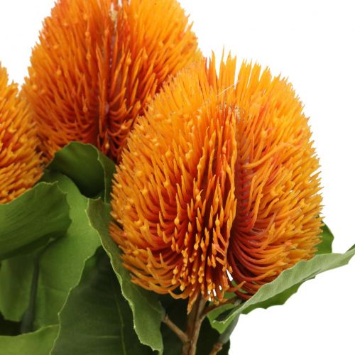Floristik24 Kunstbloemen, Banksia, Proteaceae Oranje L58cm H6cm 3 st