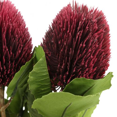Artikel Kunstbloemen, Banksia, Proteaceae wijnrood L58cm H6cm 3st