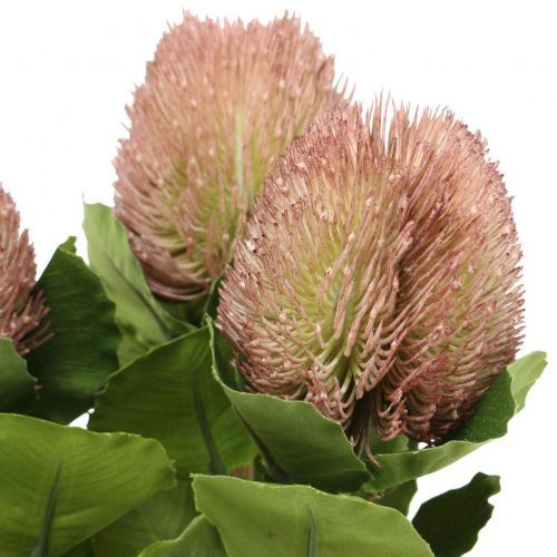 Kunstbloemen, Banksia, Proteaceae Wit-Paars L58cm H6cm