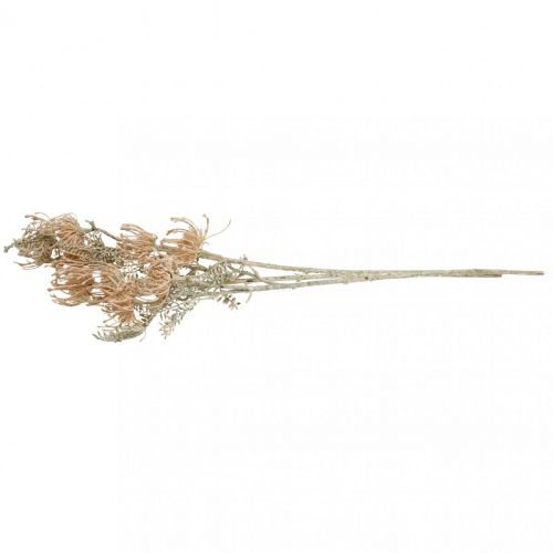 Floristik24 Kunstbloemen, Speldenkussenbloem, Leucospermum, Proteaceae Washed White L58cm 3st