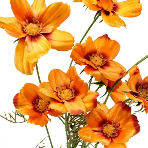 Artikel Kunstbloemen Cosmea Oranje sieradenmandje H51cm 3 st