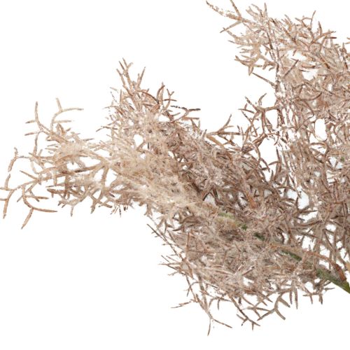 Floristik24 Kunstbloemen decoratie, koraaltak, decoratieve takken wit bruin 40cm 4 stuks