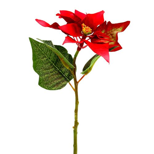 Floristik24 Kunstbloemen poinsettia rood L73cm