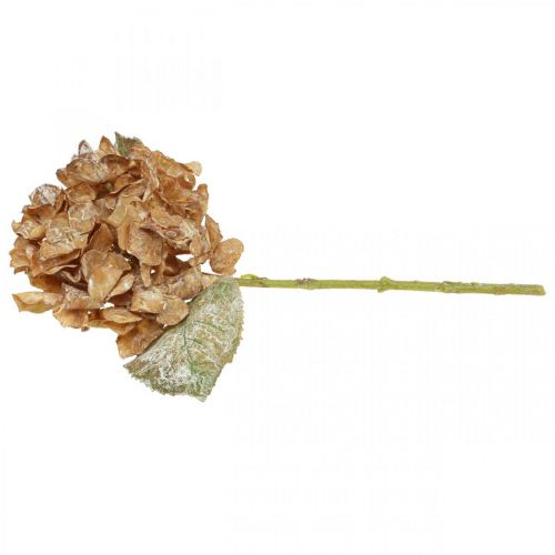Artikel Kunsthortensia verdroogd Drylook herfstdecoratie L33cm