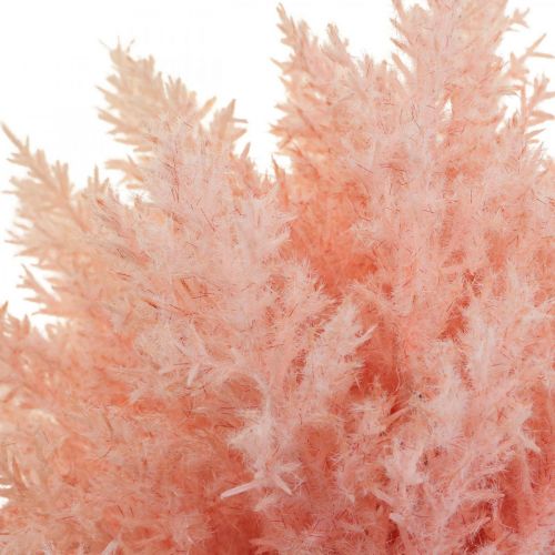 Artikel Kunstplant Astilbe Decoratie Takken Kunstmatig Roze H38cm 5 Stuks