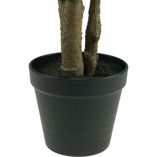 Floristik24 Kunstplant Philodendron Kunstplant H60cm