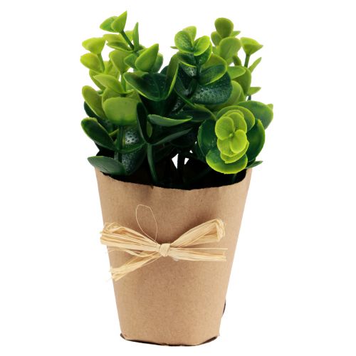 Artikel Kunstplanten Kunstvaren Buxus 15-19cm 4st