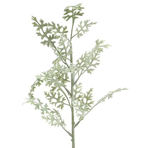 Floristik24 Kunstplanten bladzilver wit-groen 40cm 6st