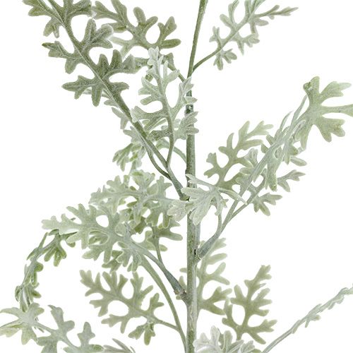 Artikel Kunstplanten bladzilver wit-groen 40cm 6st