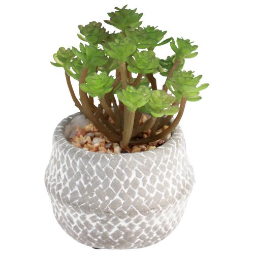 Artikel Kunstplanten vetplanten kunstmatige groene plant 11-14cm 3st