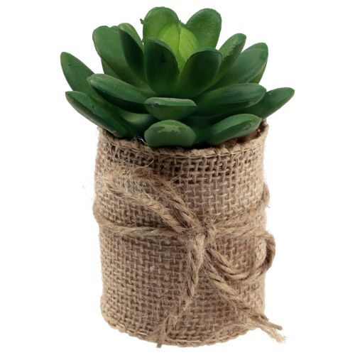 Floristik24 Kunstplanten decoratieve vetplanten kunstmatig 9,5-12,5 cm 3st