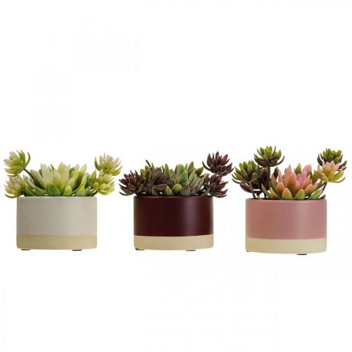 Floristik24 Kunstplanten in potten kunst vetplanten H13cm 3st