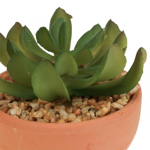 Floristik24 Kunstplanten in potten kunst vetplanten H9cm 3st