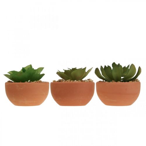 Floristik24 Kunstplanten in potten kunst vetplanten H9cm 3st